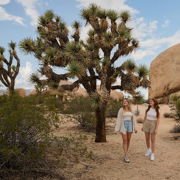 Explore the USA: Route 66 to adventure!