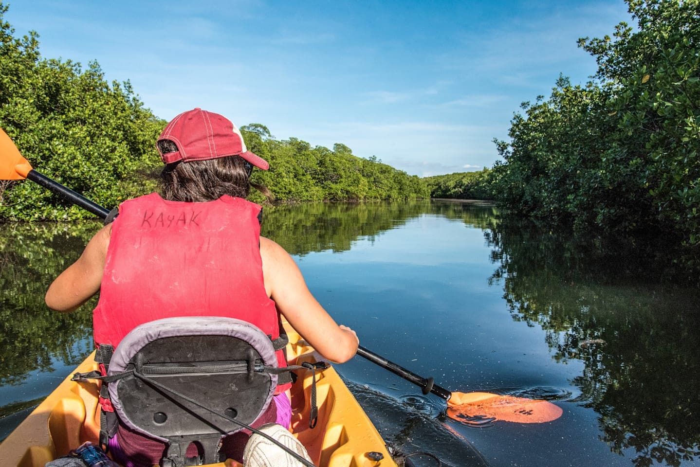 Im Kajak durch den Mangrovenwald von Holbox thumbnail